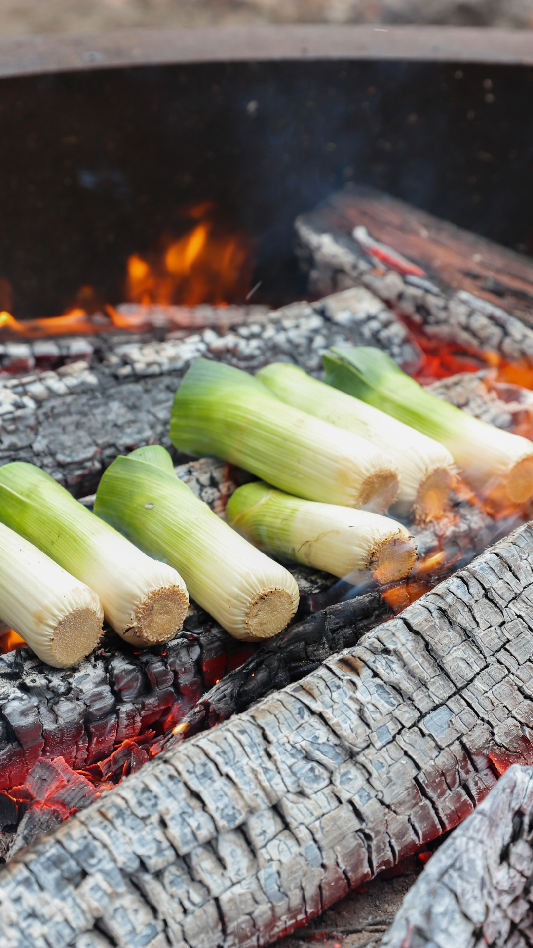 Leeks cooking in a wood open fire