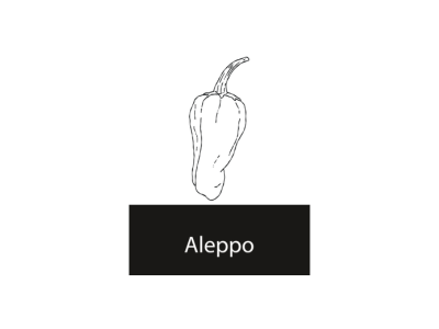Aleppo