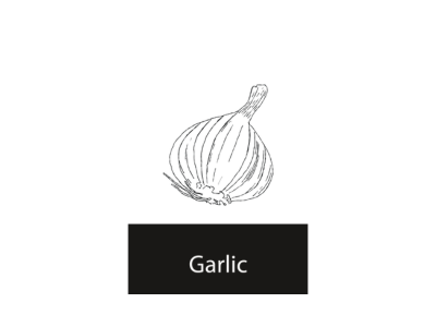 Garlic
