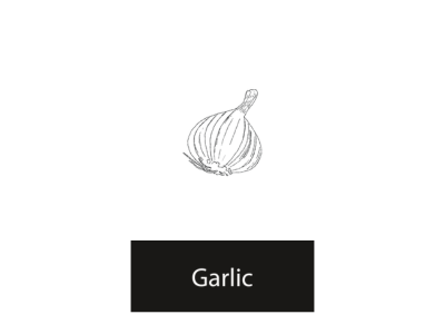 Garlic