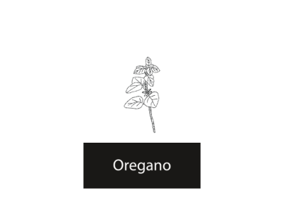Oregano