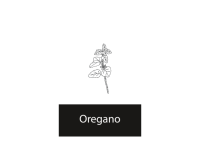 Oregano