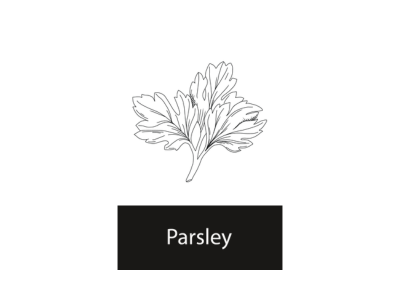 Parsley