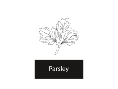 Parsley