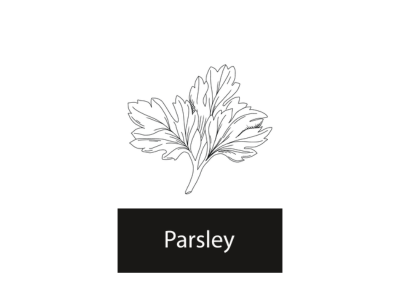 Parsley