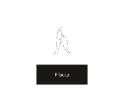 Pilacca