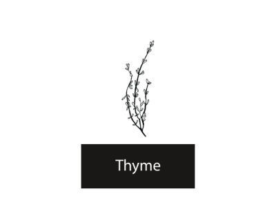Thyme