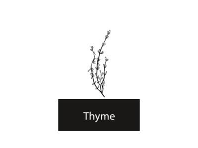 Thyme