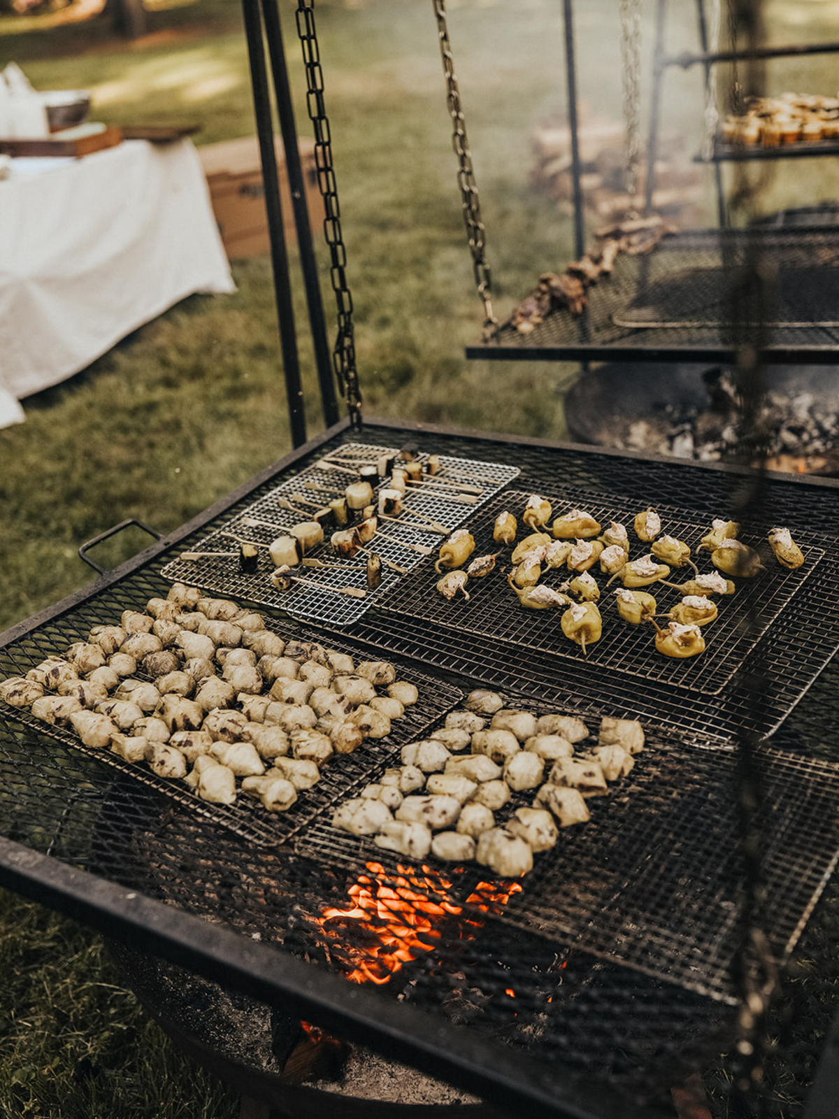Roasted vegetables cooking over a live open fire 